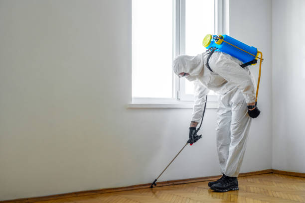 Real Estate Pest Inspections in Gilbert, AZ